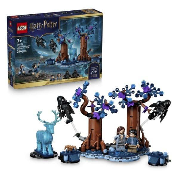 LEGO(R) HARRY POTTER 76475 Zakazany Las, LEGO(R)