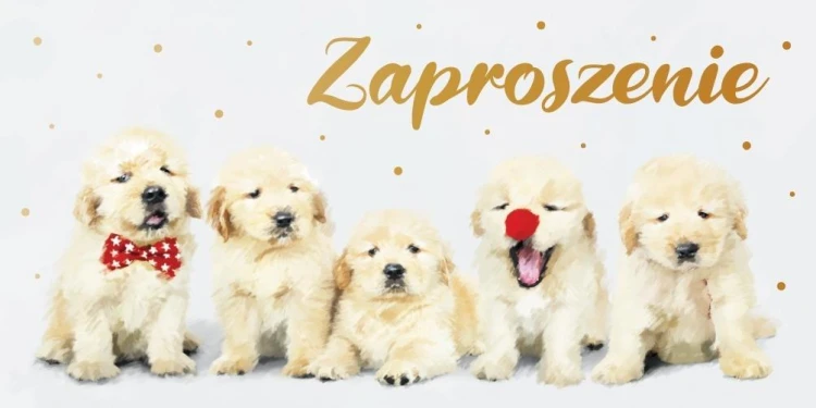 Zaproszenie Dziecięce Z139 (5szt)