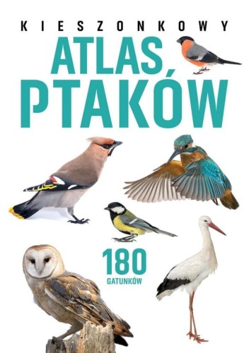 Kieszonkowy atlas ptaków. 180 gatunków, Jan Król