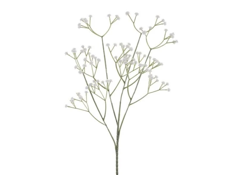 Gipsówka biała 62cm