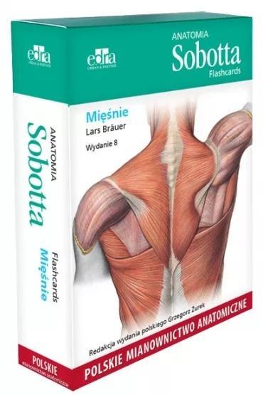 Anatomia Sobotta Flashcards. Mięśnie wyd.8