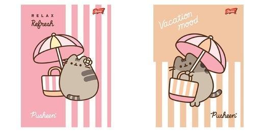Zeszyt A4/32k linia dwukolorowa Pusheen (15szt)