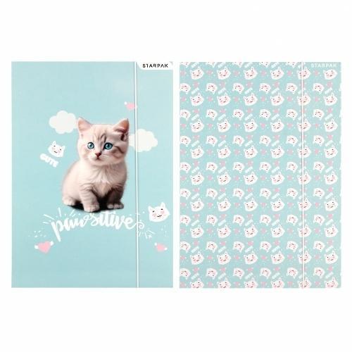 Teczka z gumką A4 Kitty, STARPAK