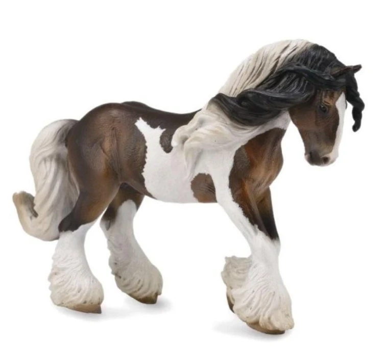Ogier rasy Tinker łaciaty, Collecta
