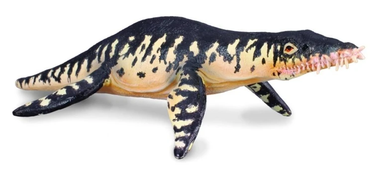 Dinozaur Liopleurodon, Collecta