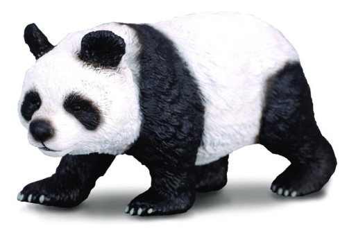 Panda wielka, Collecta