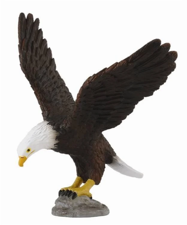 Bielik Amerykański, Collecta