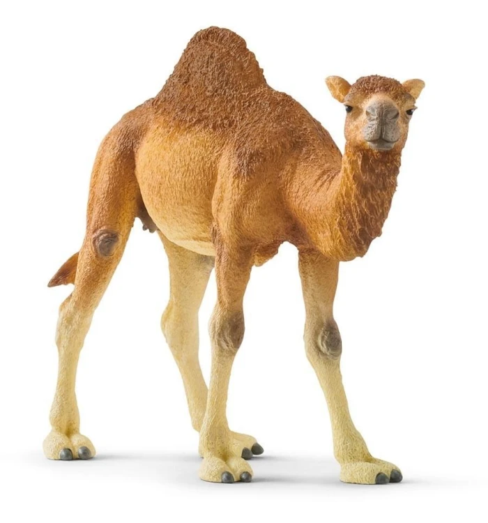 Wielbłąd Dromader, SCHLEICH