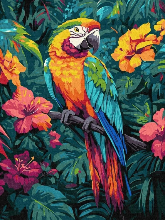 Malowanie po numerach - Tropikalny ptak 30x40cm