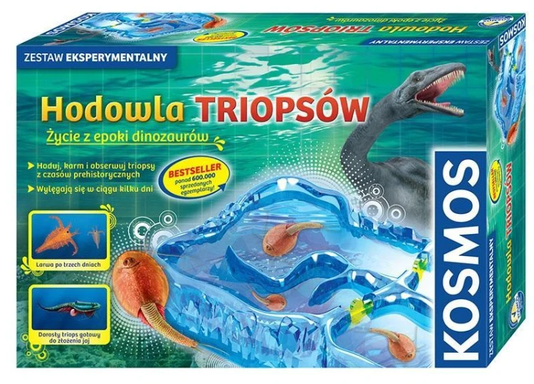 Hodowla triopsów KOSMOS, Kosmos