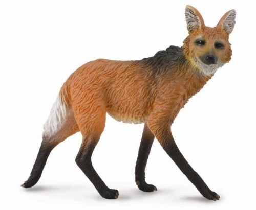 Wilk grzywiasty, Collecta
