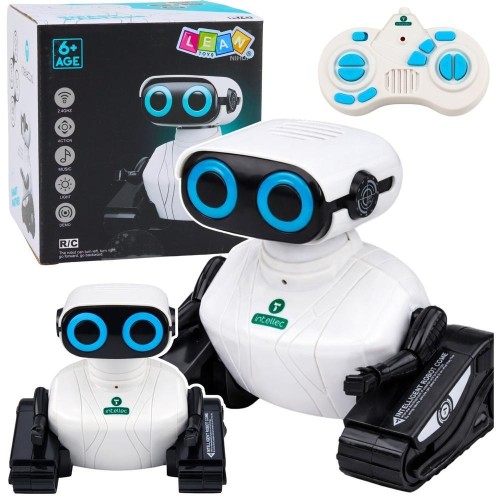 Robot zdalnie sterowany, Leantoys