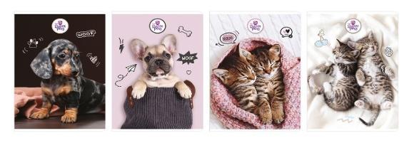 Zeszyt A5/80k kratka The Sweet Pets (5szt)