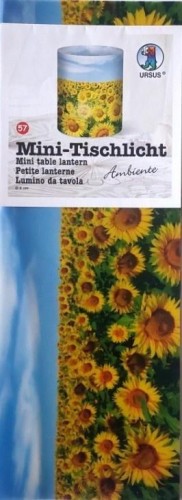 Mini lampiony Ambiente 5 arkuszy 10x27cm