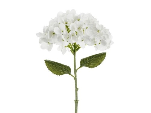 Hortensja biała 35cm