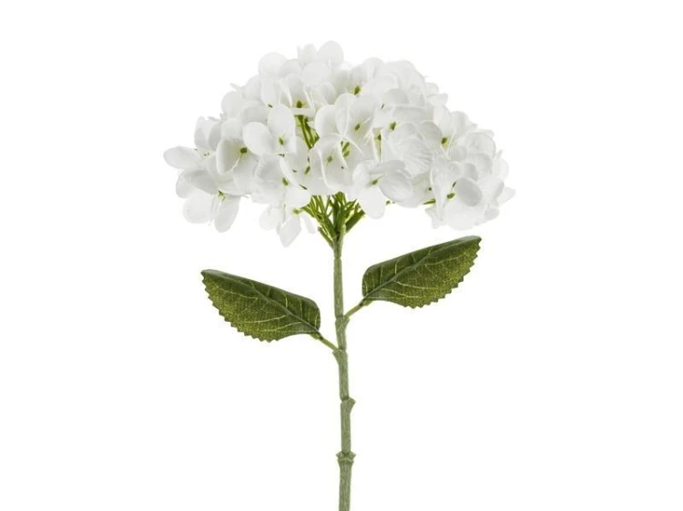 Hortensja biała 35cm