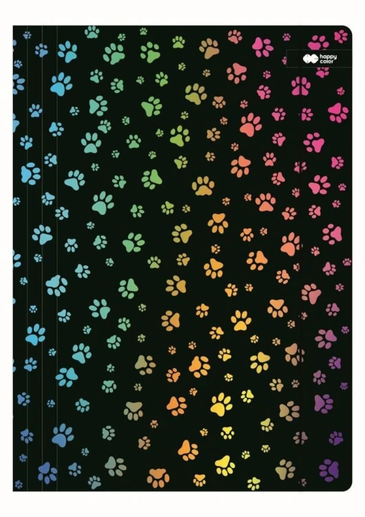 Teczka A4+ z gumką Miaow czarna HAPPY COLOR, GDD