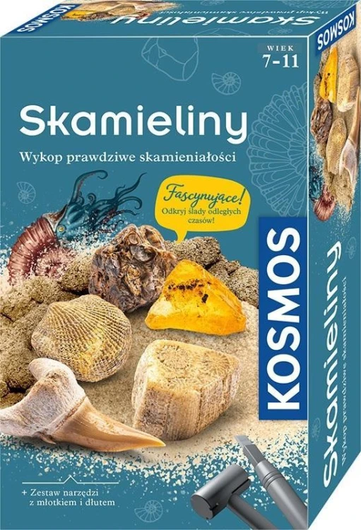 Zestaw Archeologiczny Skamieliny PIATNIK, Piatnik