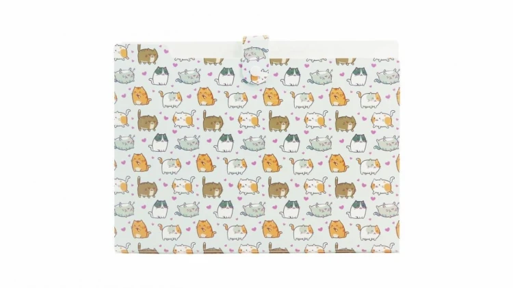 Teczka A4 PP harmonijkowa nadruk kittens, Biurfol