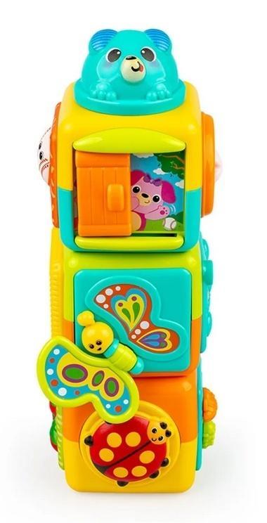 Kostki niespodzianki, Winfun
