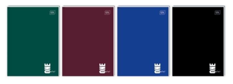 Brulion A4/96k linia One Color (5szt), INTERDRUK