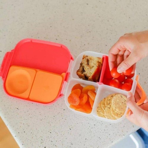 Mini lunchbox Indigo Rose
