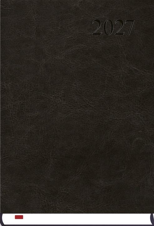 Terminarz 2027 A5 Asystent Alaska czarny