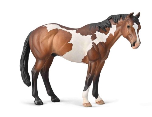 Appaloosa ogier, Collecta