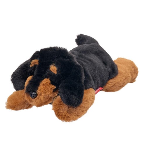 Jamnik leżący 35cm, Beppe
