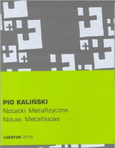 Notatki metafizyczne, Pio Kaliński